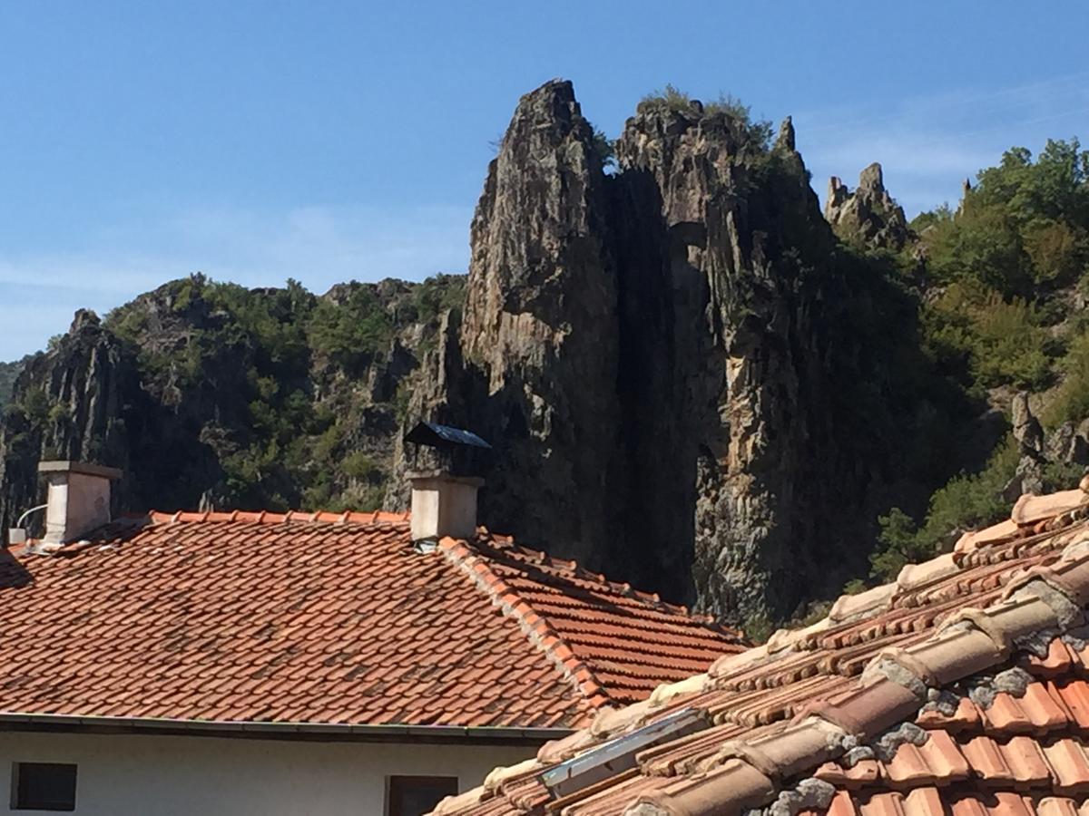 Elenite Guesthouse Goce Delčev Exteriér fotografie